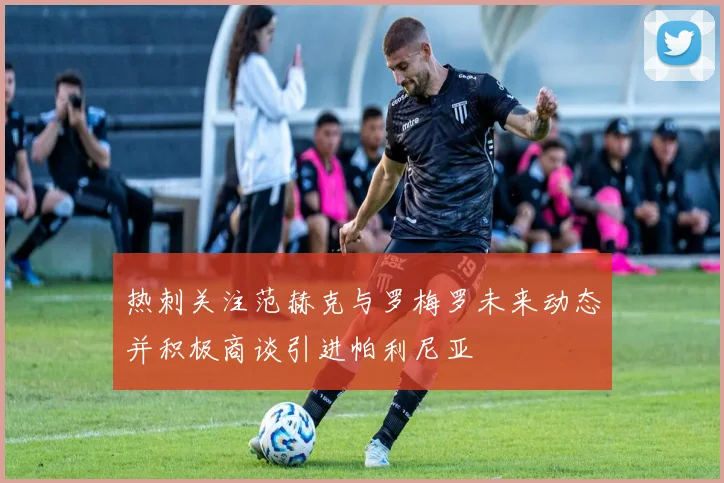 热刺关注范赫克与罗梅罗未来动态并积极商谈引进帕利尼亚