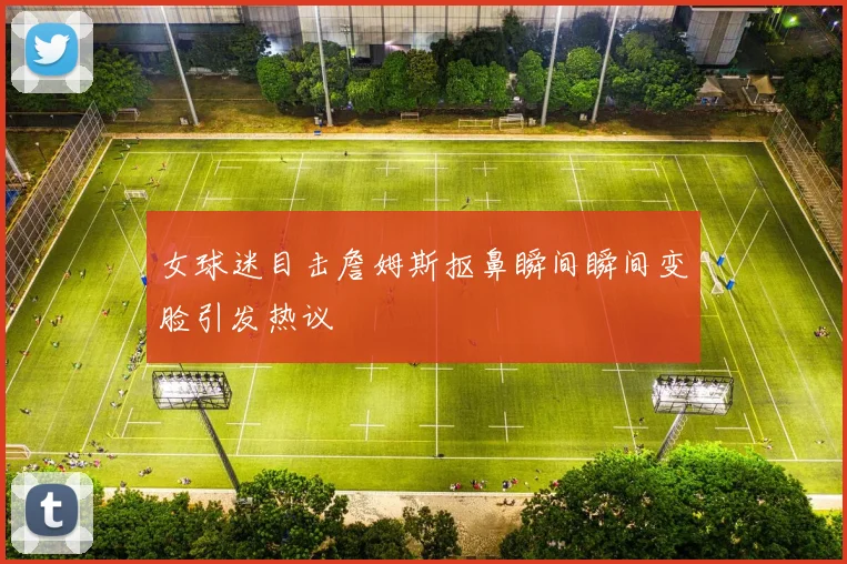 女球迷目击詹姆斯抠鼻瞬间瞬间变脸引发热议