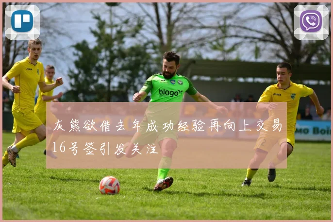 灰熊欲借去年成功经验再向上交易16号签引发关注
